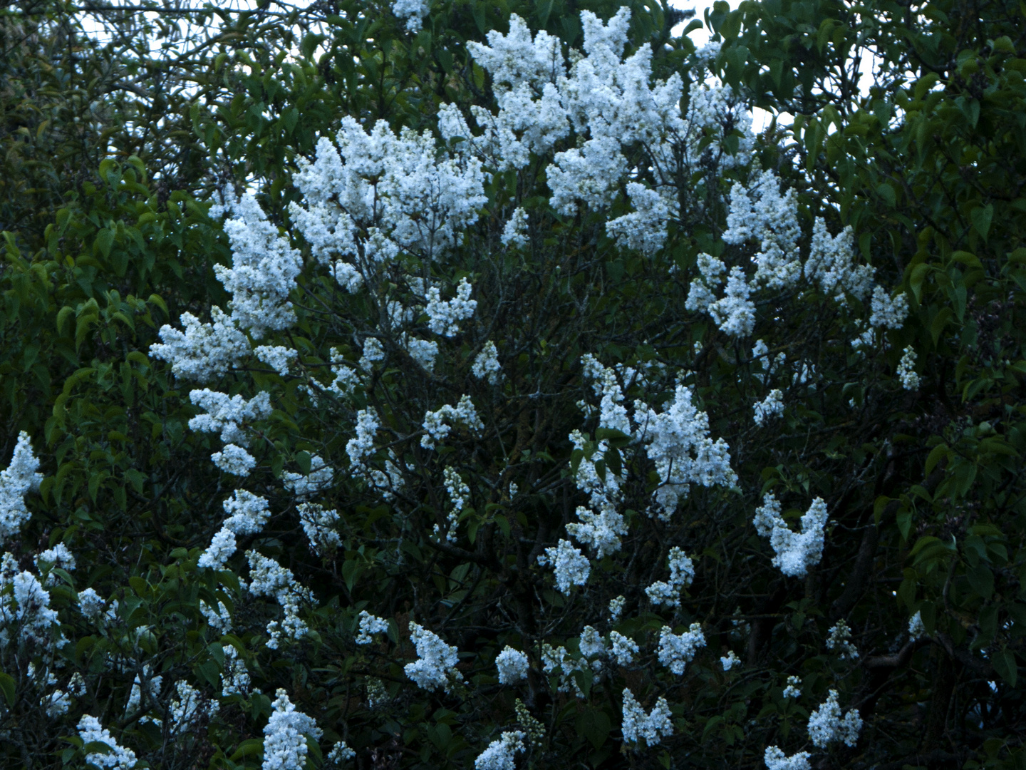 Endlich Frühling