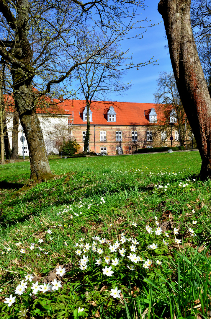 endlich frühling