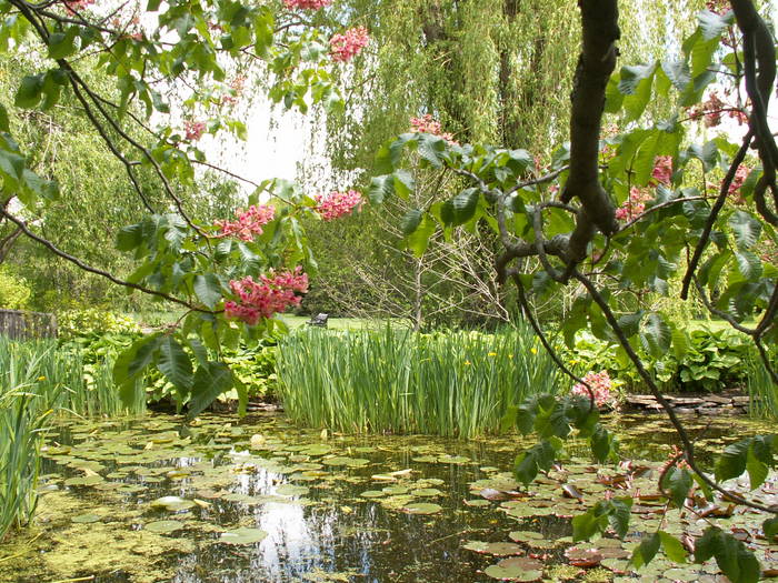 Endlich Frühling