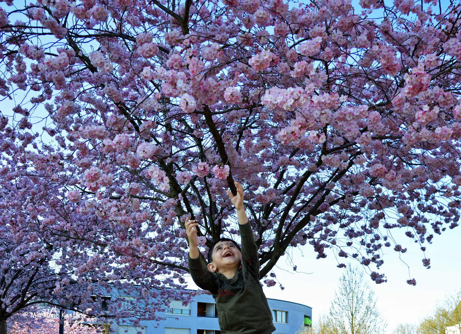 Endlich Frühling :-)