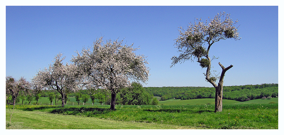 Endlich Frühling