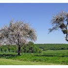 Endlich Frühling