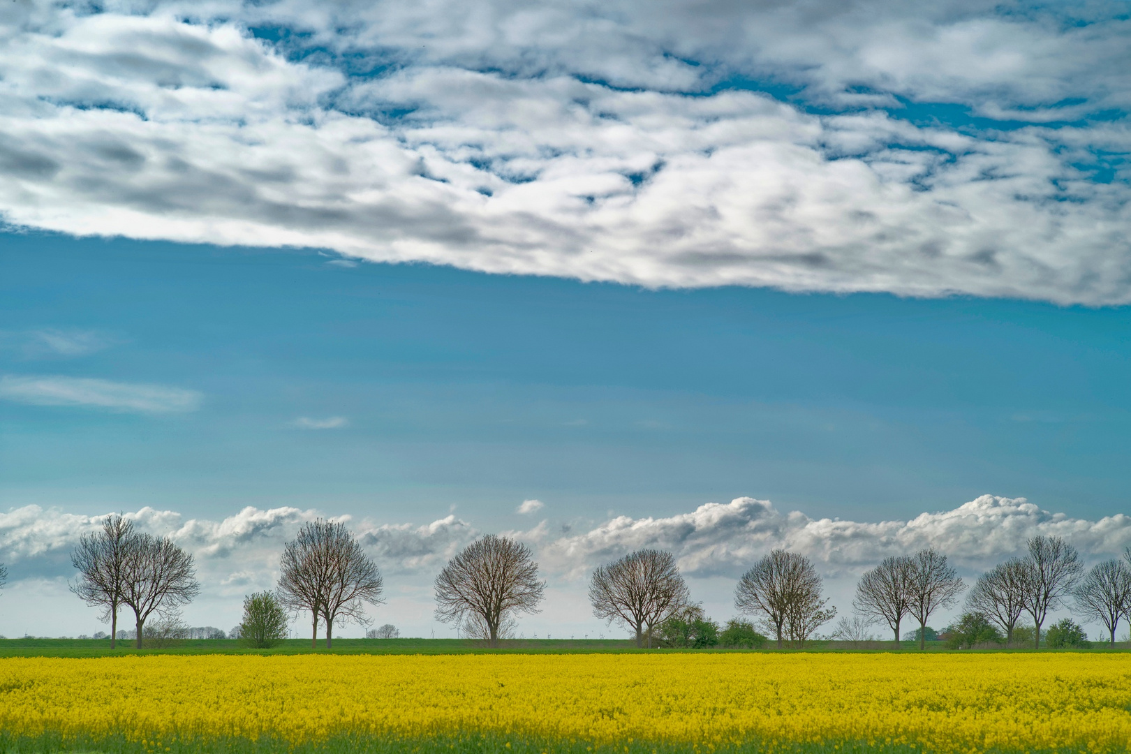 endlich Frühling.....