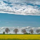 endlich Frühling.....