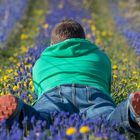 Endlich Frühling