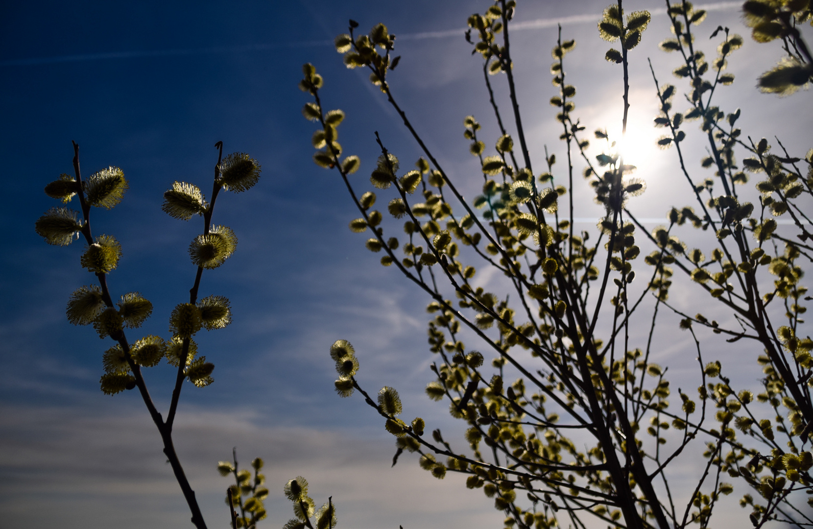 Endlich Frühling!