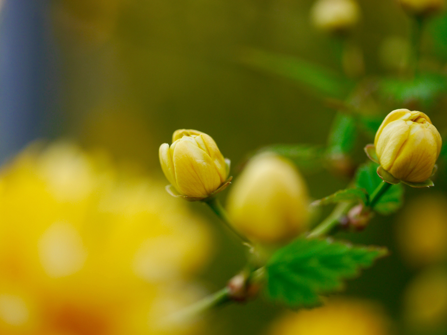 Endlich Frühling