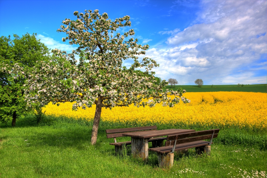 endlich Frühling...