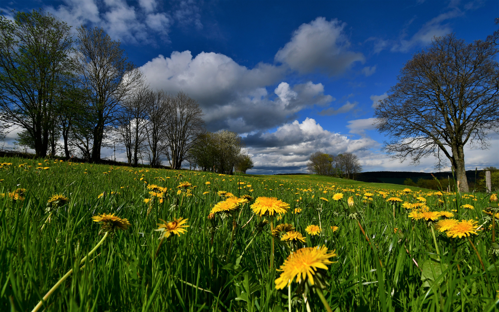 Endlich Frühling 