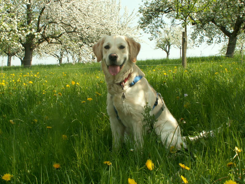 Endlich Frühling !