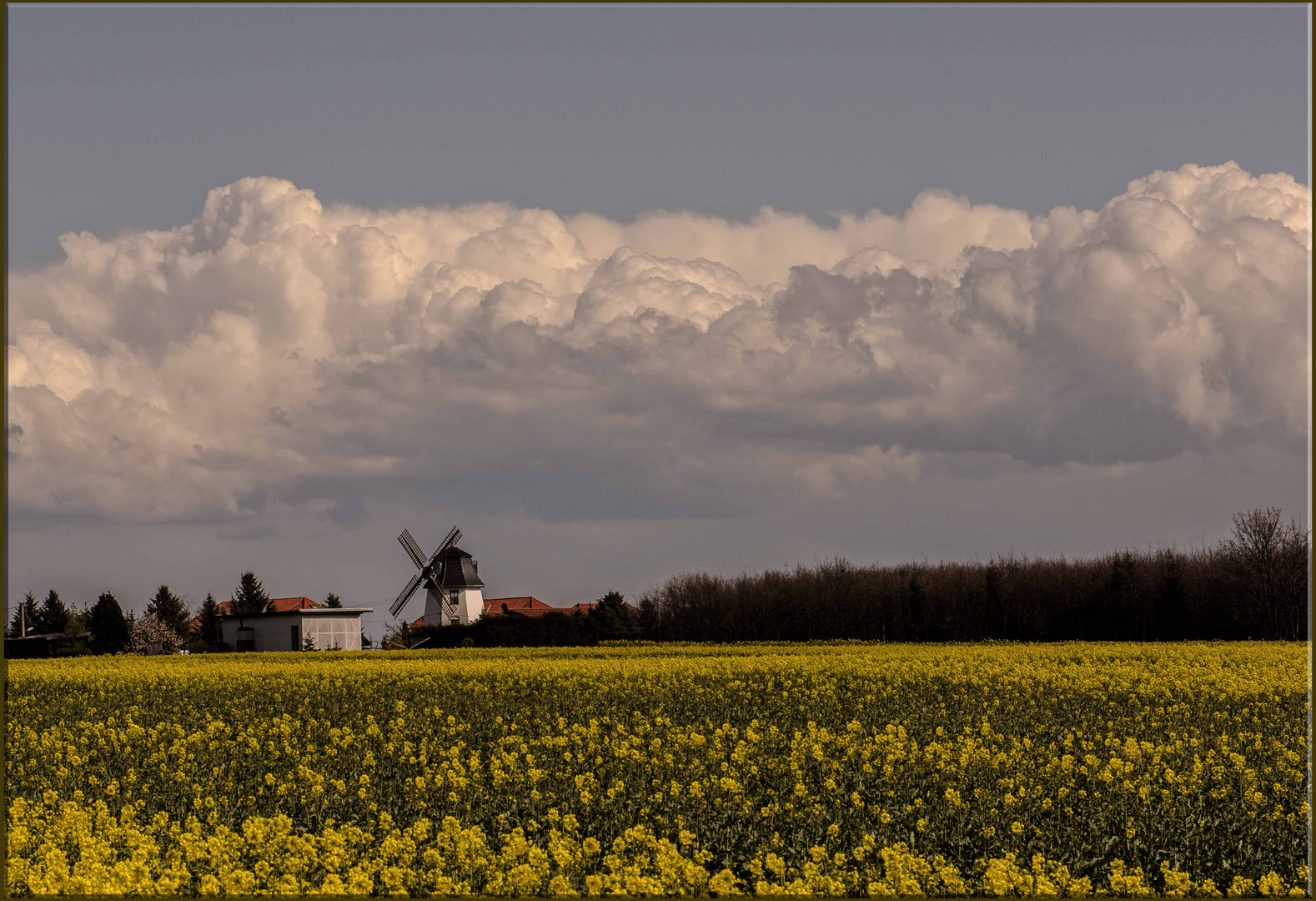 endlich Frühling