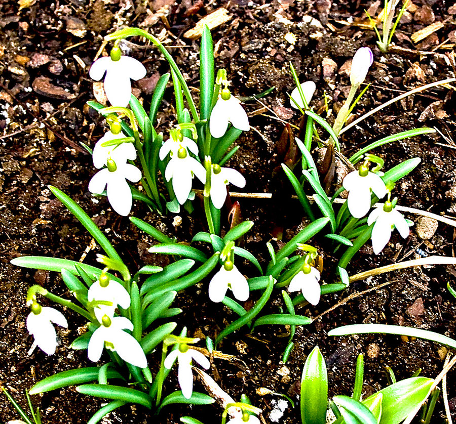 Endlich Frühling