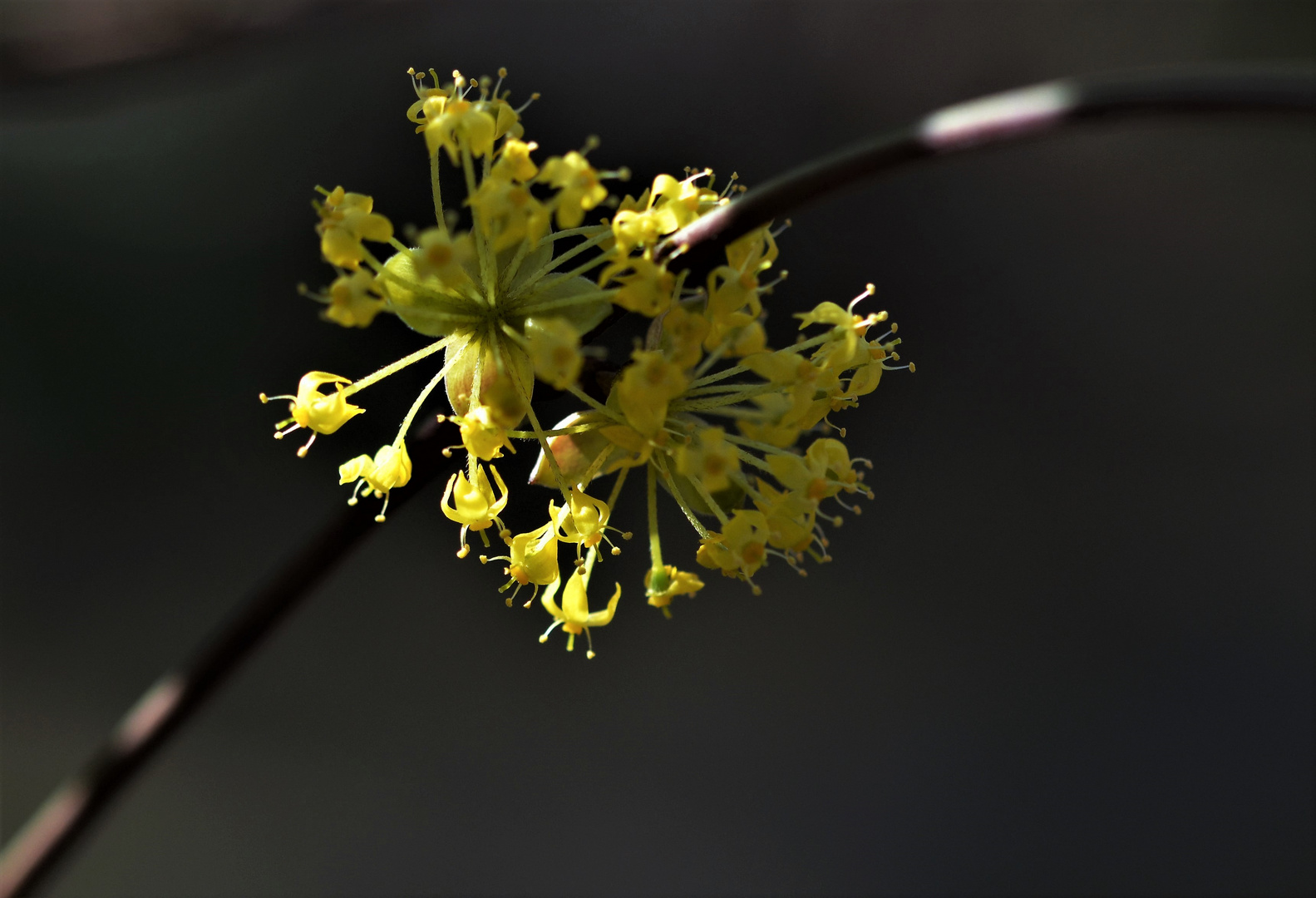 Endlich Frühling