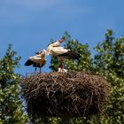 Endlich Frühling