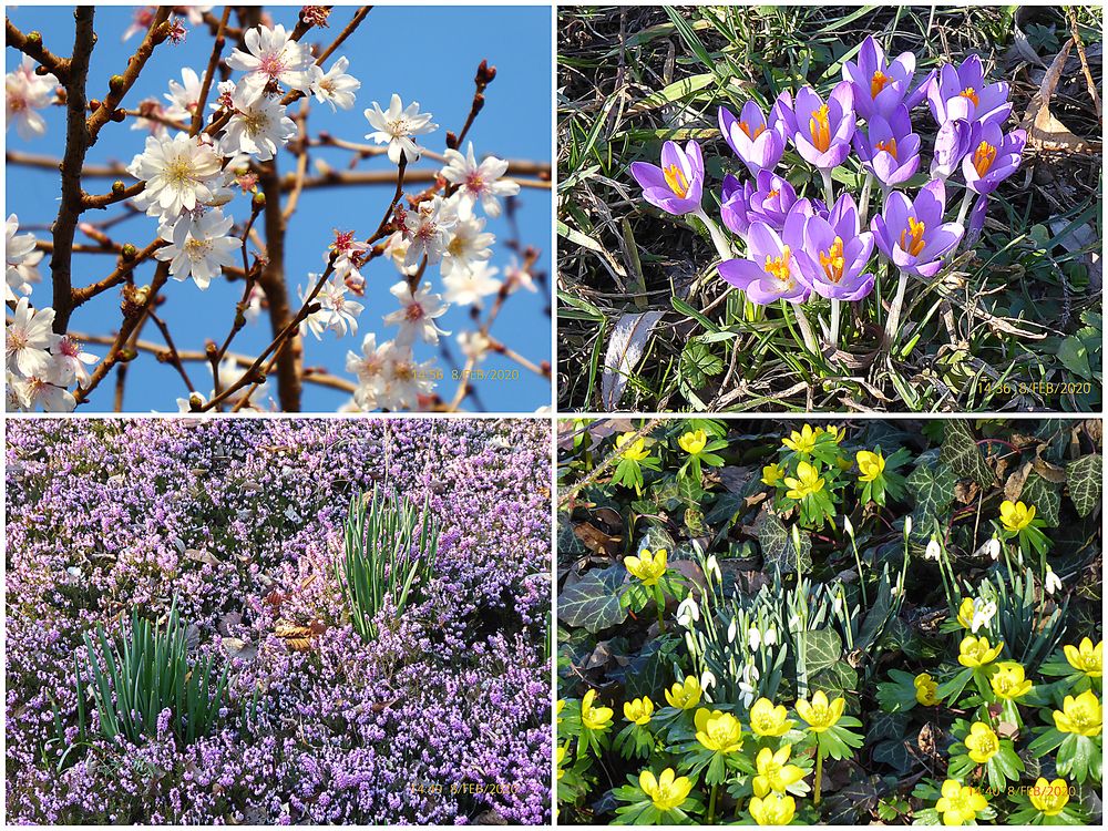 Endlich Frühling ...!!