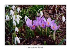 endlich Frühling