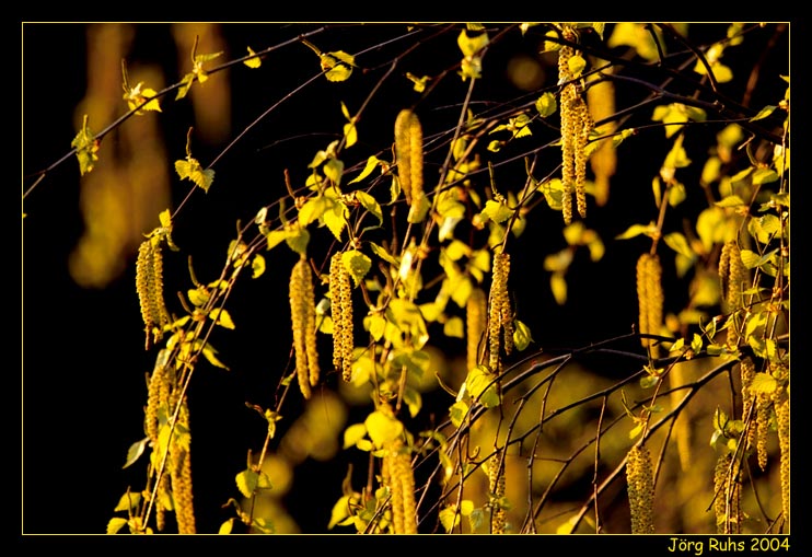 Endlich Frühling