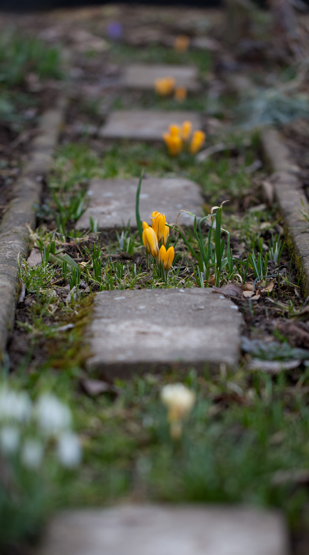 Endlich Frühling