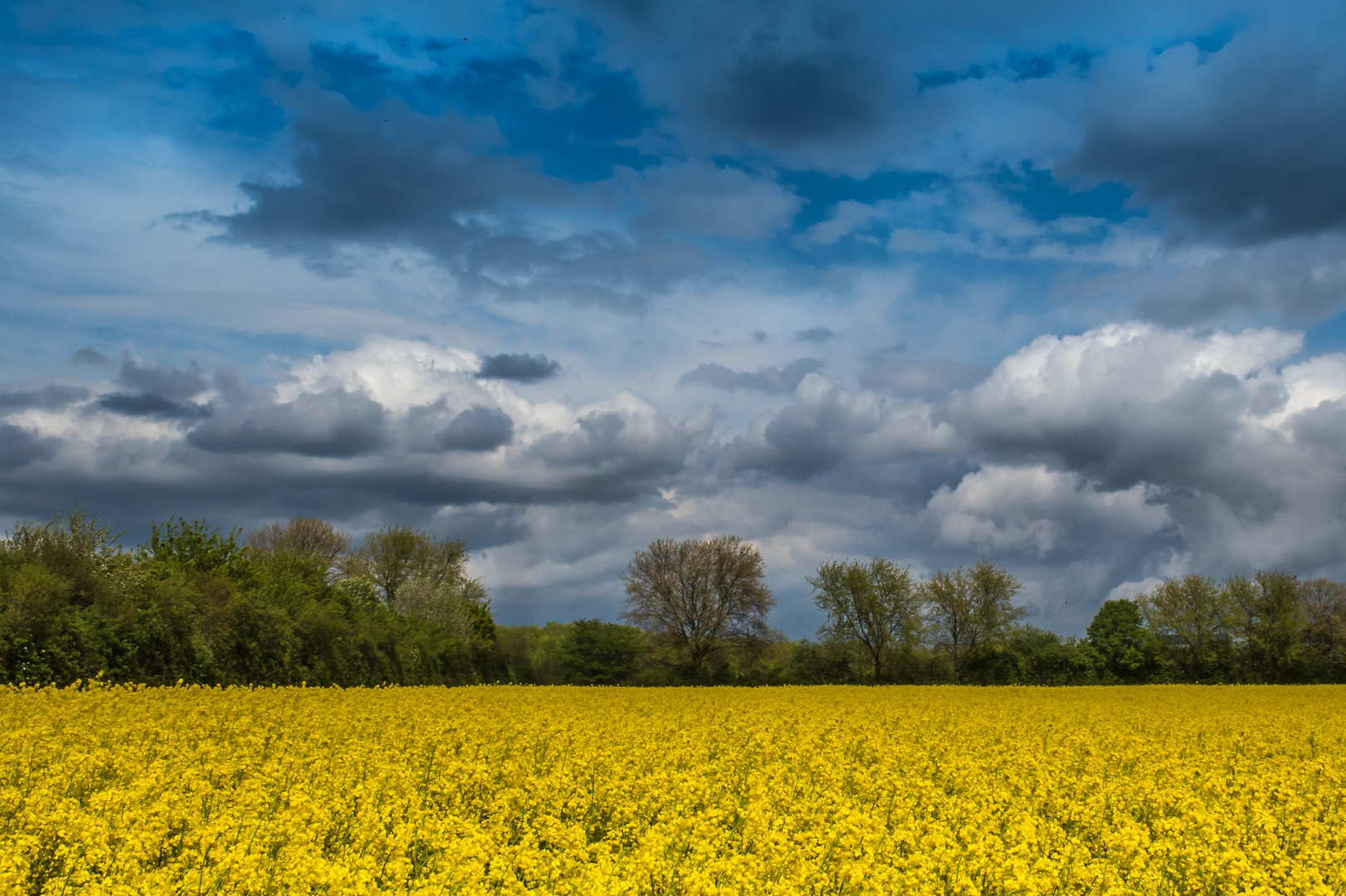 Endlich Frühling