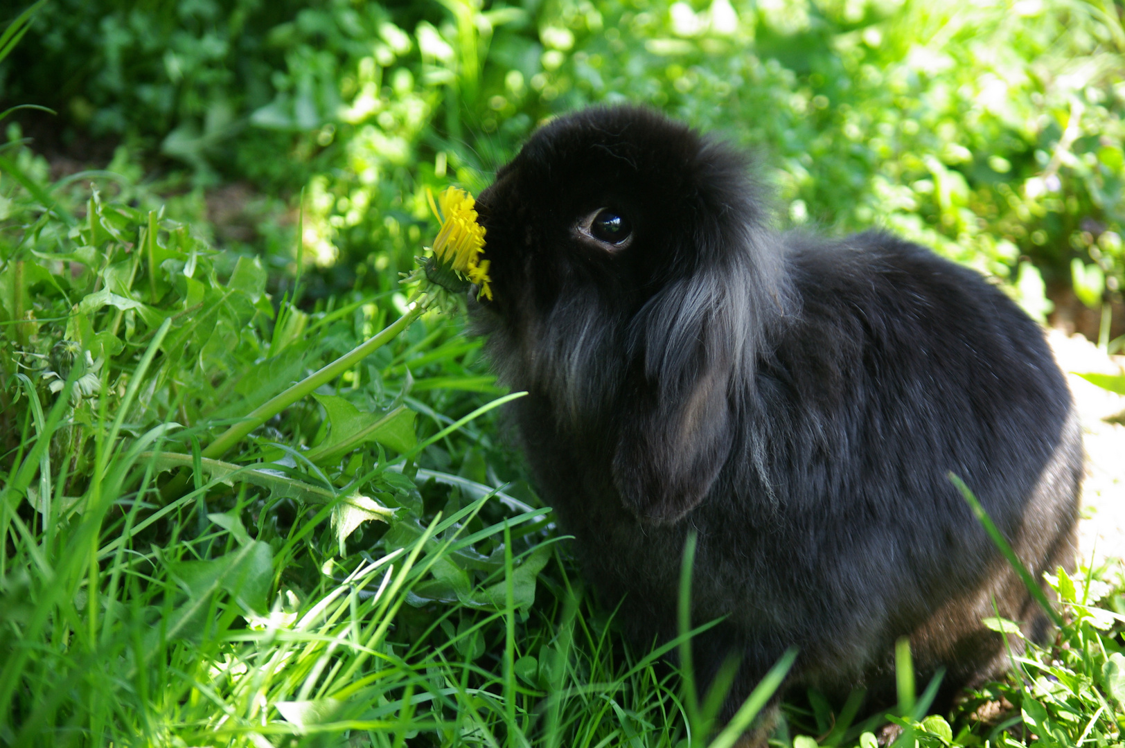 Endlich Frühling!