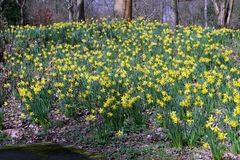 Endlich Frühling!