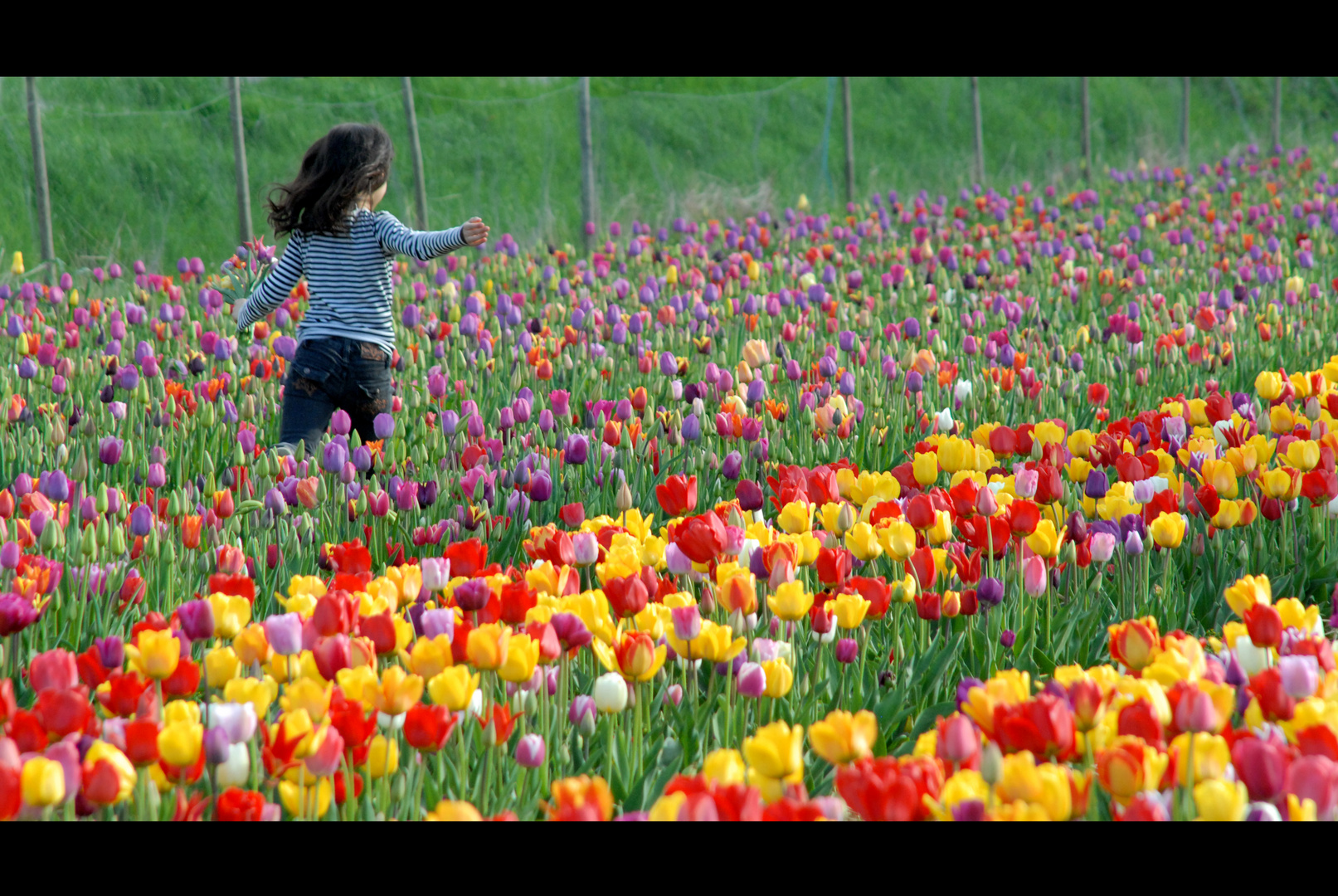 Endlich Frühling