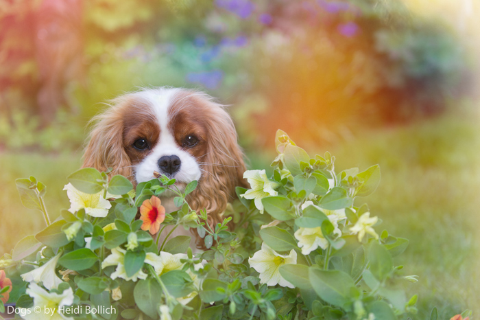 Endlich Frühling!