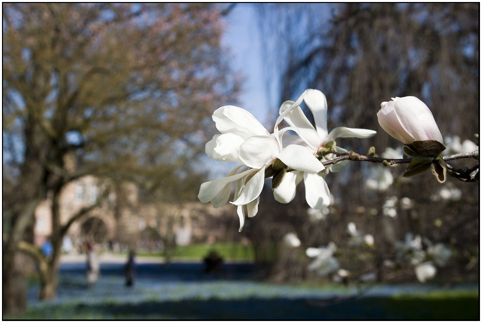 endlich Frühling