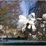 endlich Frühling