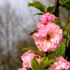 endlich Frühling