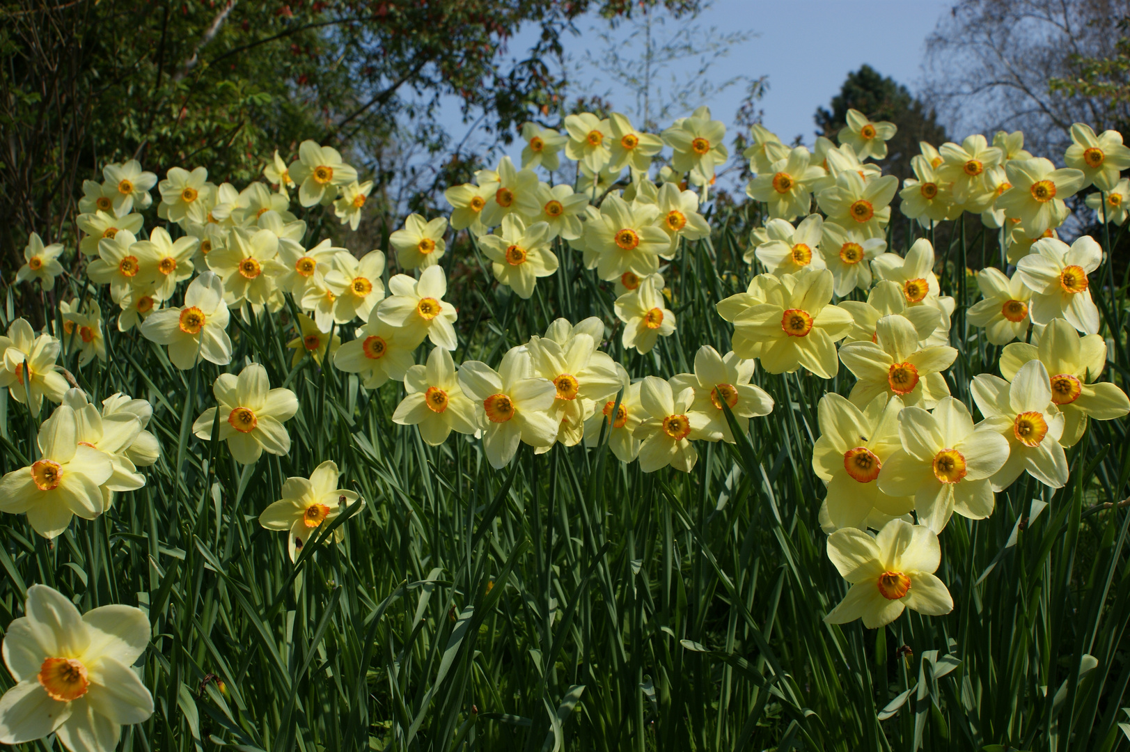 Endlich Frühling