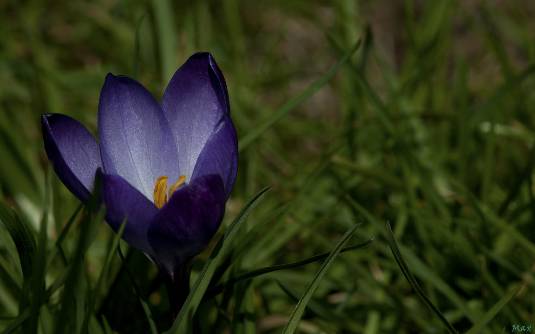 Endlich Frühling