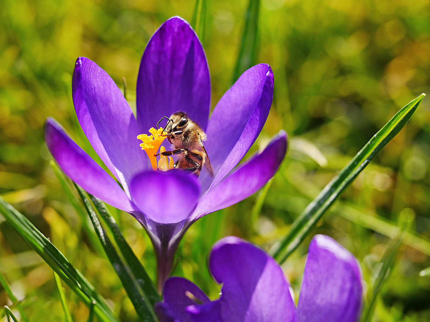 Endlich Frühling!