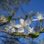 Endlich Frühling