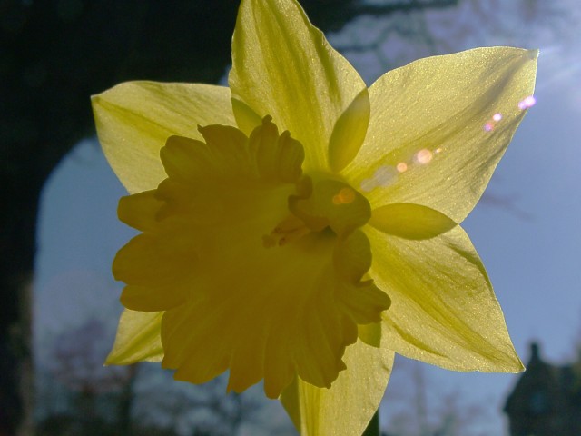 Endlich Frühling