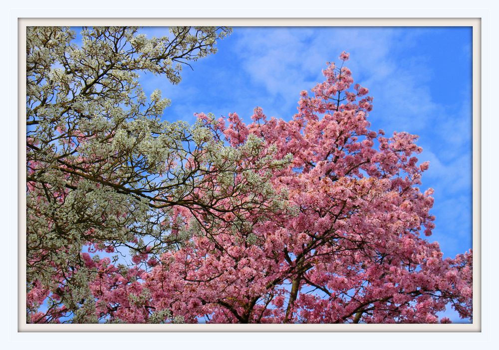 Endlich Frühling!