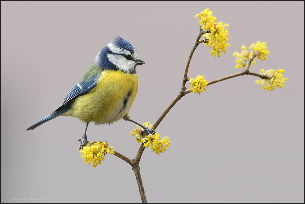 Endlich Frühling !!