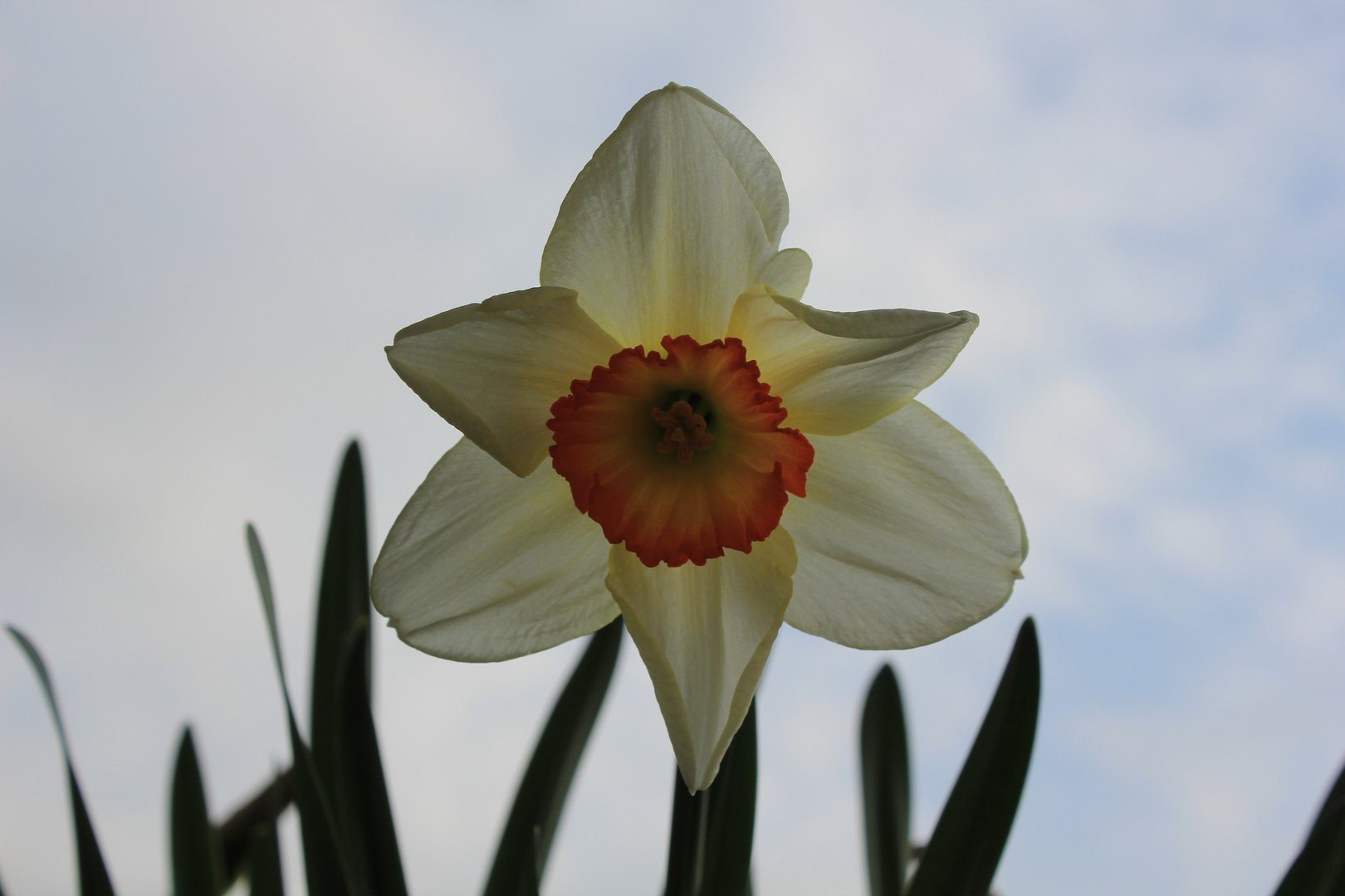 Endlich Frühling