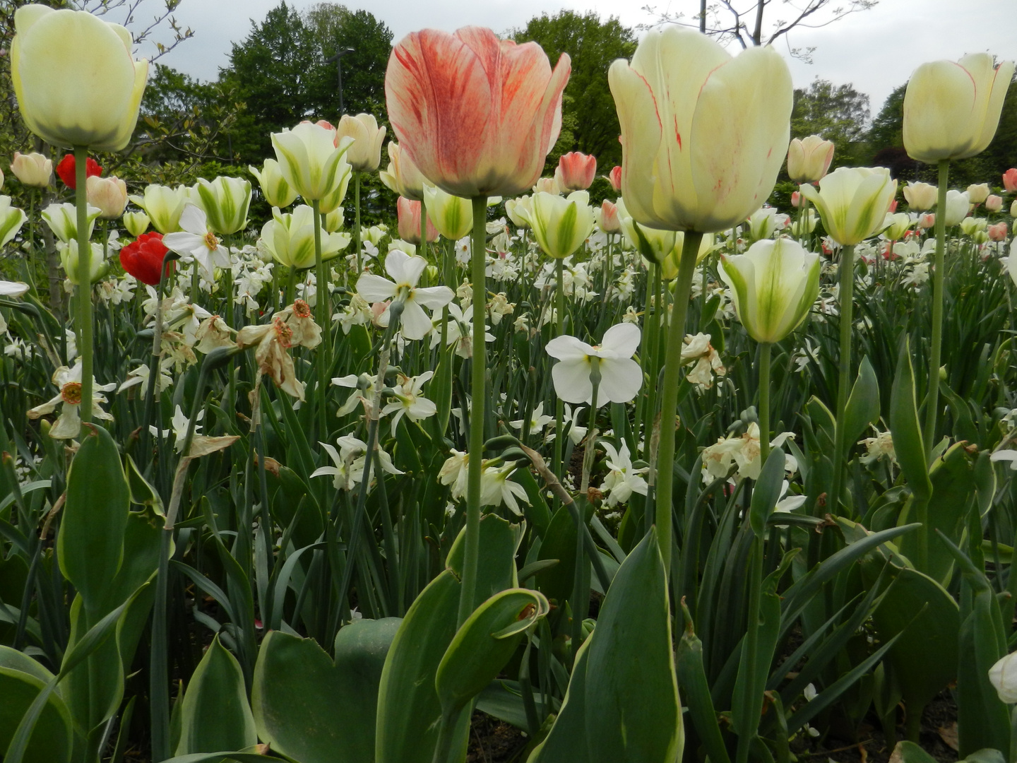 endlich ... Frühling