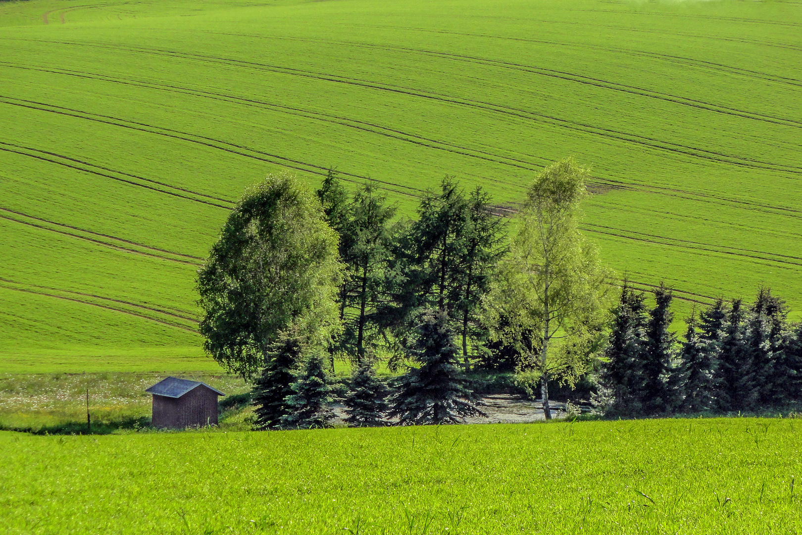 endlich Frühling