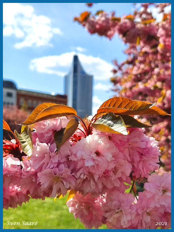 Endlich Frühling