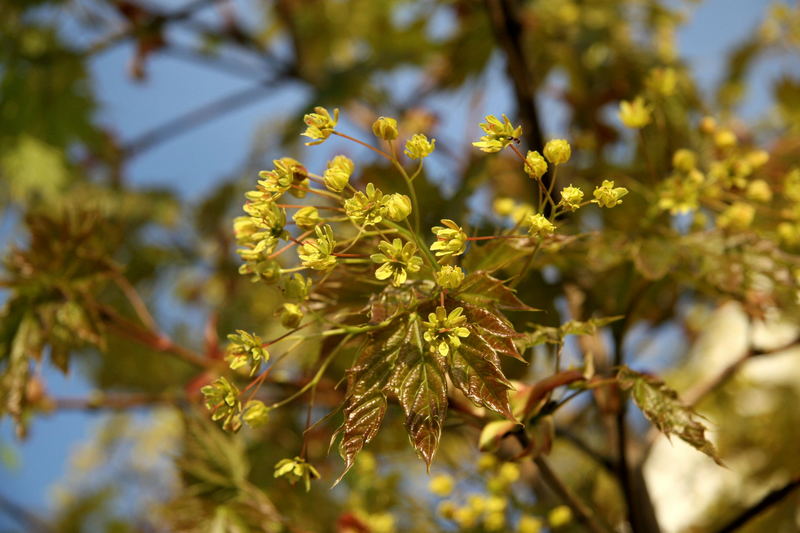 endlich Frühling