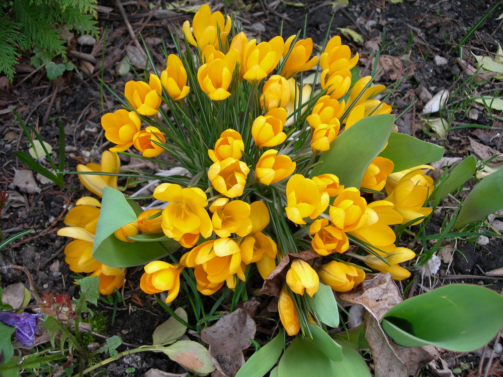 Endlich Frühling