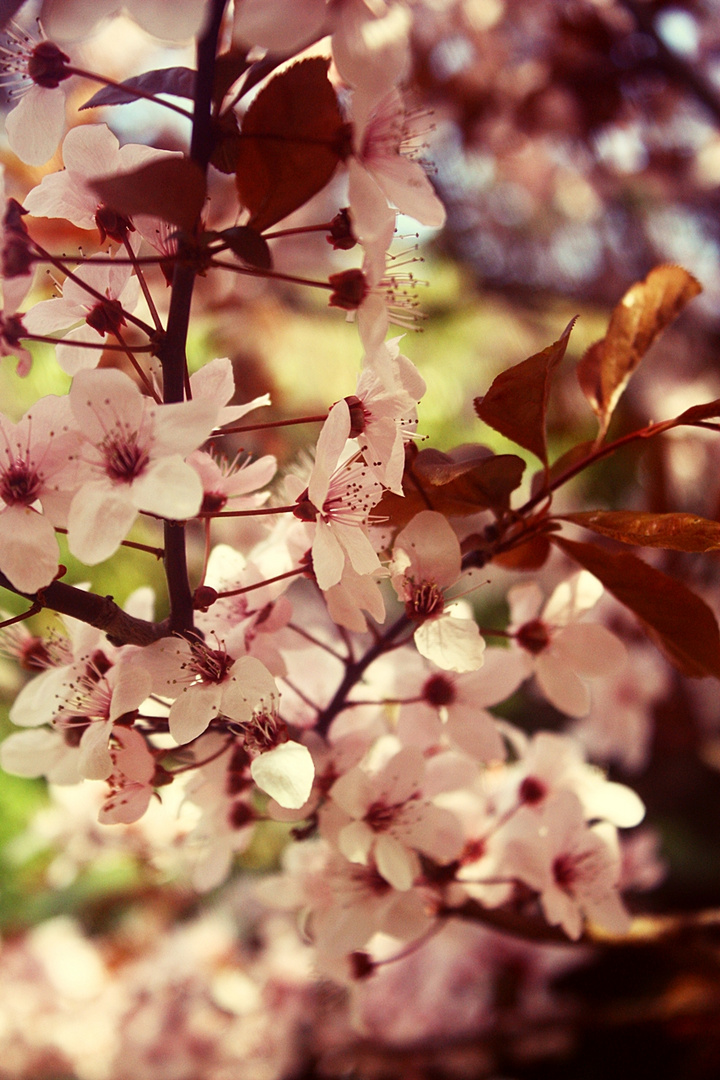 Endlich Frühling