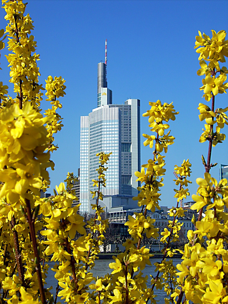 Endlich Frühling!