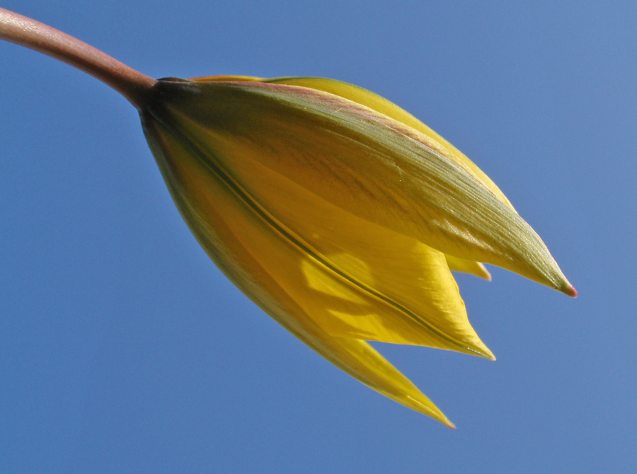 endlich frühling