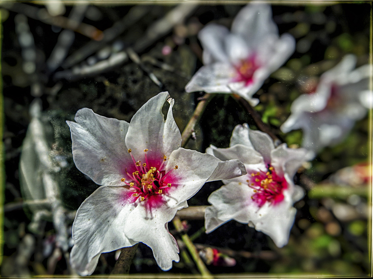 Endlich Frühling