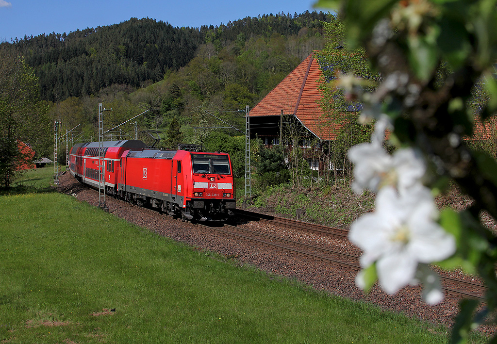 Endlich Frühling!