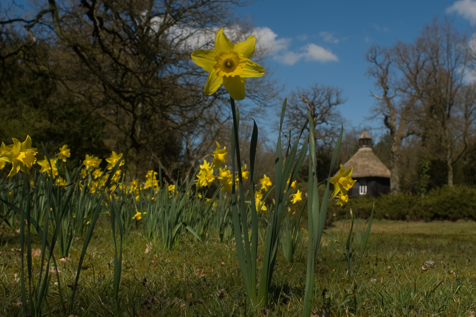 Endlich Frühling