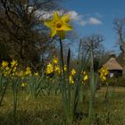 Endlich Frühling